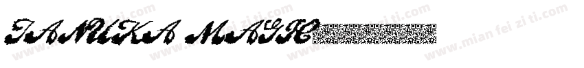 TANUKA MAGIC字体转换